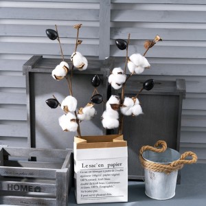MW61182 Natural Five Heads Cotton Lanes/Stems For Home Supermarket Hotel Decoration