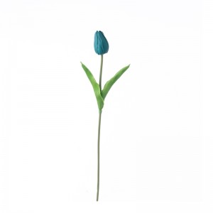 MW08515 Fugala'au Tulip Fa'ato'aga Fa'ato'aga Tulip maualuga