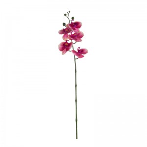 MW18503 Artificial Real Touch Fiifkoppige Orchidee Nij ûntwerp Dekorative blommen en planten