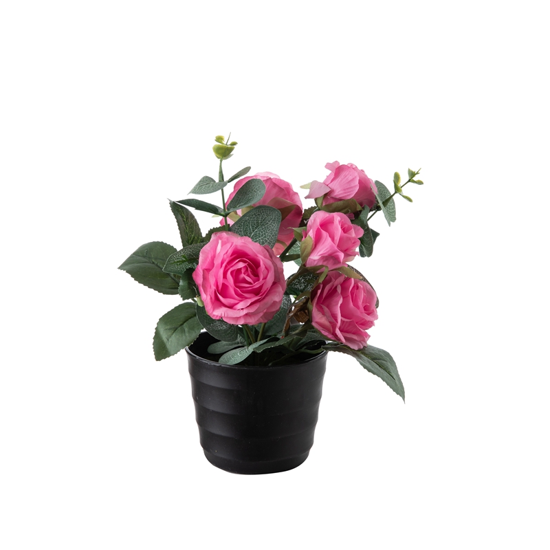 DY1-3346 Bonsai Rose Hot Selling diyariya Roja Evîndaran