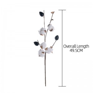 MW61182 Natural Five Heads Cotton Branches/Stems For Home Supermarket Hotel Decoration