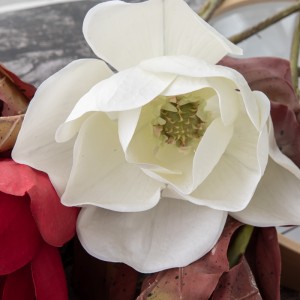 CL59513 مصنوعي گل آرڪيڊ گرم وڪرو آرائشي گل