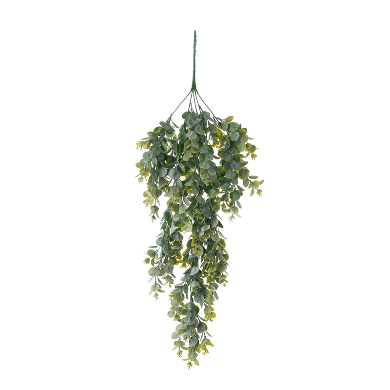 CL72501 Hanging Series Eucalyptus ከፍተኛ ጥራት ያላቸው የጌጣጌጥ አበቦች እና ተክሎች
