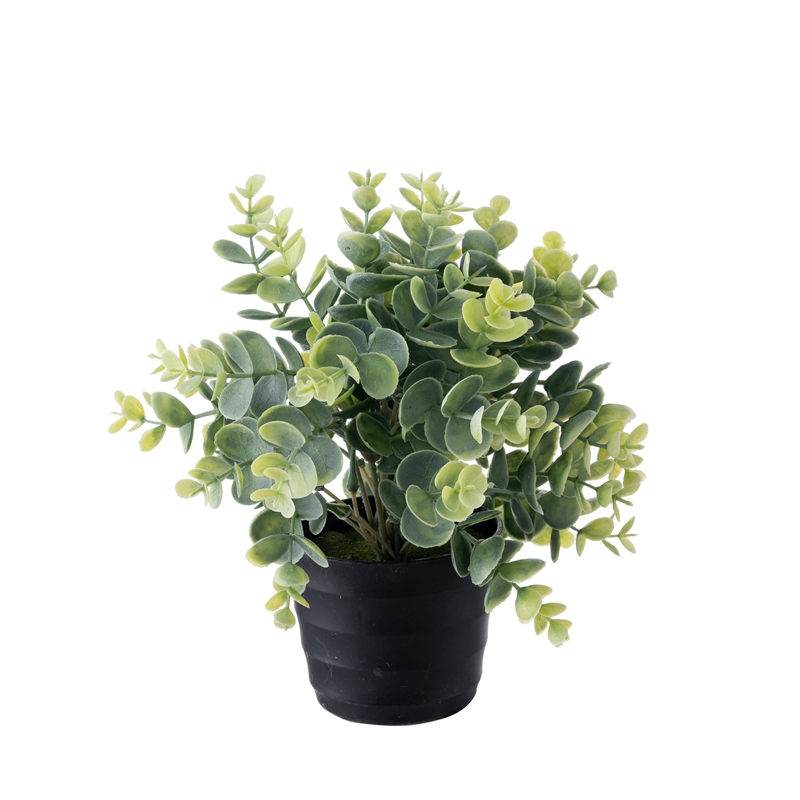 DY1-4130 Bonsai-Eukalyptus, realistische dekorative Blumen und Pflanzen