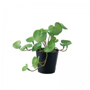 DY1-5536 Bonsai Eucalyptus Hot prodejní dekorativní květina
