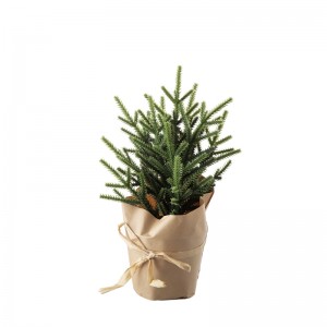 DY1-6113A Bonsai Pinus tangkal kualitas High Christmas nyokot
