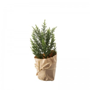 DY1-6116A Bonsai Pine koob ceg Kub Muag Christmas Picks