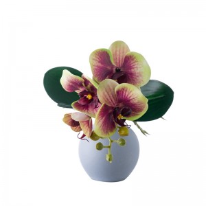 CL09005 Kënschtlech Phalaenopsis mat Blieder Faux Orchidee Real Touch Latex Blummen fir Dësch Mëttelpunkt Heem Büro Hochzäit