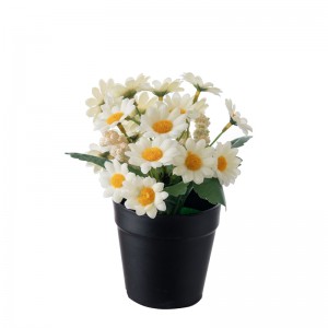 MW14503 Bonsai Daisy Factory Sprzedaż bezpośrednia Dekoracyjne kwiaty i rośliny