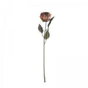 DY1-5245 Bunga Ponggawa Protea Dekorasi Pesta kualitas dhuwur