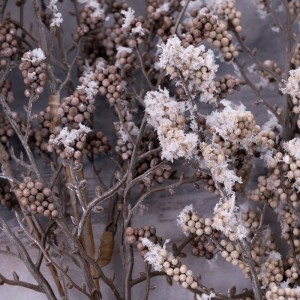 CL55527 хиймэл цэцгийн ургамал Бодит гоёл чимэглэлийн цэцэг Зул сарын түүвэр