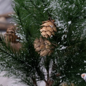 CL76509 Decoração de Natal Árvore de Natal Decorações festivas de venda quente