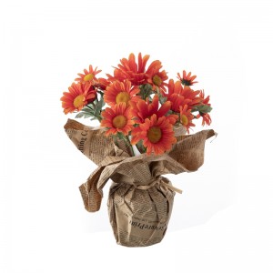 ДИ1-2198 Бонсаи хризантема Висококвалитетно украсно цвеће и биљке