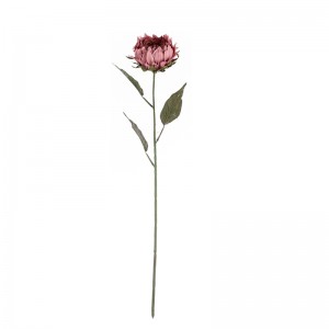 DY1-5245 Bunga Ponggawa Protea Dekorasi Pesta kualitas dhuwur