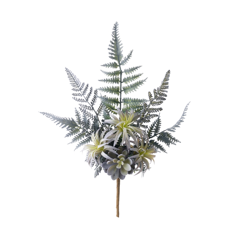 CL71504 tekokukkakasvi, mehevä korkealaatuiset koristekukat ja -kasvit