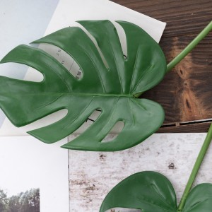 CL63547 ດອກໄມ້ທຽມ Glans dorsal leaf ຂາຍຮ້ອນການຕົກແຕ່ງພັກ