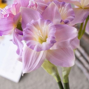 CL77522 Bouquet Bunga Ponggawa Pabrik Daffodils Dijual Langsung Bunga Hiasan