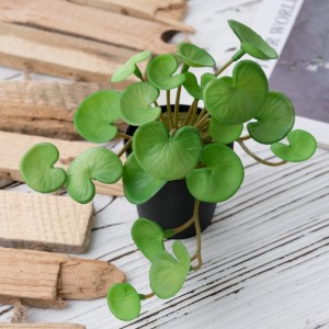 DY1-5536 Bonsai Eucalyptus cho vann flè décoratifs