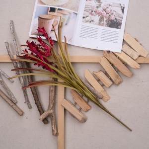 MW09629 Művirág növény Gladiolus Gyár közvetlen értékesítése Kerti esküvői dekoráció