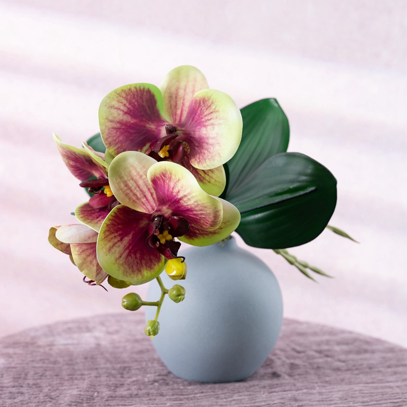 CL09005 Phalaenopsis ທຽມກັບໃບ Faux Orchid Real Touch Latex Flowers for Table Centerpiece Home Office Wedding