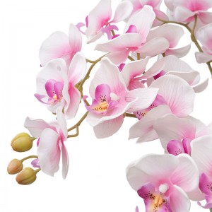 MW18903 twal kouvwi an latèks papiyon orkide flè atifisyèl reyèl touche Phalaenopsis orkide