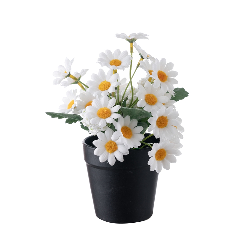 MW14503 Bonsai Daisy Factory Sprzedaż bezpośrednia Dekoracyjne kwiaty i rośliny