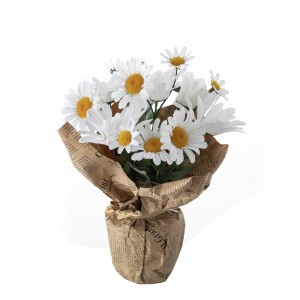 DY1-2198 Bonsai Chrysanthemum Ubax iyo Dhirta qurxinta oo tayo sare leh