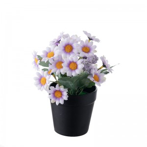 MW14503 Bonsai Daisy Factory dekoratyvinių gėlių ir augalų tiesioginis pardavimas