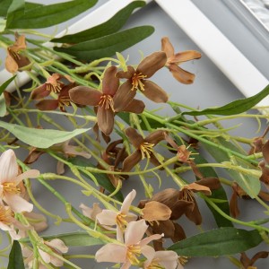 CL51520Artificial Flower OrchidFactory Direct SaleDecorative Flower Flower Backdrop Wall