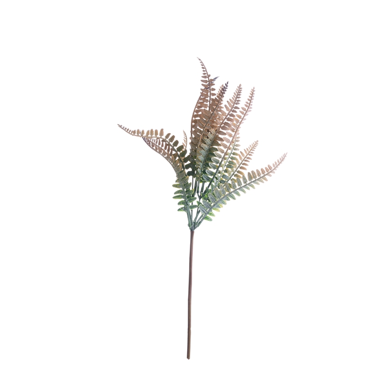 CL11504 Gervi blóm planta Ferns Hot Seljandi blóm vegg bakgrunnur