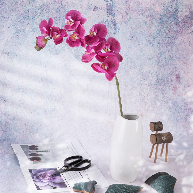 MW18902 Moth Orchid Real Touch ທຽມ Phalaenopsis Butterfly Orchids ດອກ