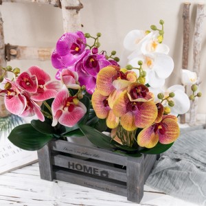 CL09004 ດອກໄມ້ທຽມທີ່ແທ້ຈິງ Touch Mini Butterfly Orchid Phalaenopsis ໃບ Faux ສໍາລັບການຕົກແຕ່ງເຮືອນ Wedding ສວນດອກໄມ້