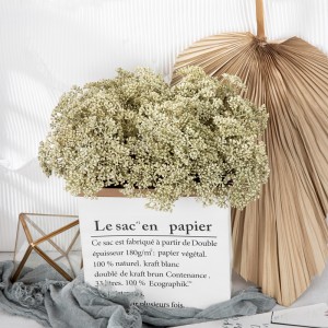 Paquete de ramas de judías verdes de plástico, planta de flores artificiales, nuevo diseño, DY1-6234, para decoración interior y exterior