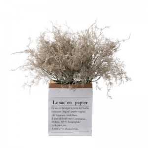 YC1083 Planta Artificial Manojo Plástico Artemisia Niebla Mango Largo para Boda Hogar Hotel Oficina Decoración Plantas de Flores