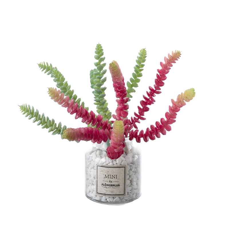 MW17662 Mini Artificial Succulent Plants String Of Pearls Crassula Marnierana