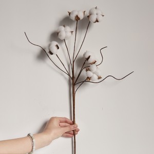 MW61188 Tallo de bola de algodón H75 cm para decoración del hogar Nuevo diseño de flores secas naturales Algodón 6 cabezas Flores y coronas decorativas blancas CN;SHN