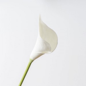 MW01512 Polychromatic casablanca lilys እውነተኛ ሰው ሠራሽ አበቦች calla ዝግጅት ጌጥ