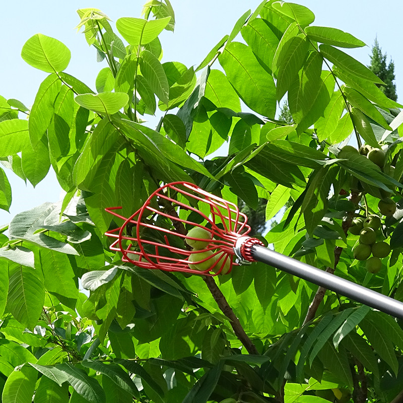 100% Original Fruit Picker With Extension Pole - Customization Carbone 10M Telescopic Pole Fruit Plucker  – Lanbao