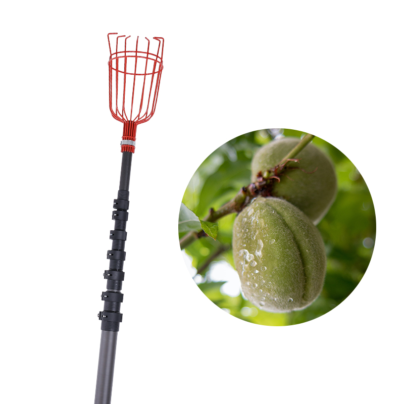 Hot-selling Citrus Fruit Picker - Custom red carbon fiber composite 3k 12k twill fruit picker basket telescoping extension tube adjustable pole fruit picker  – Lanbao