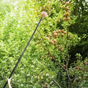 10 FT extension available picking pole trimmer