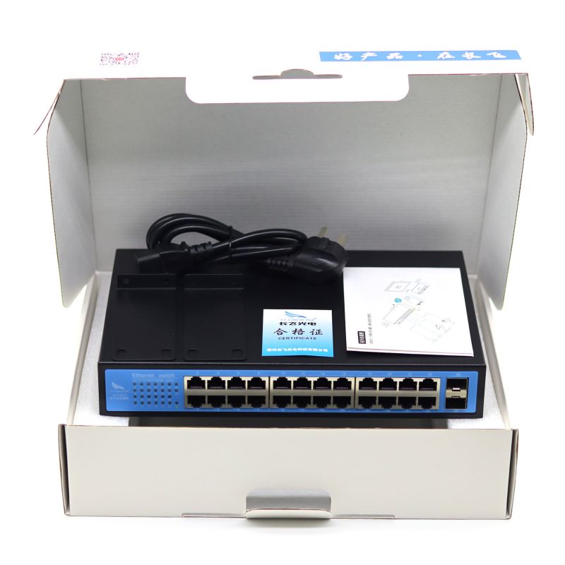 Gigabit 2 optical 24 electricity security switch