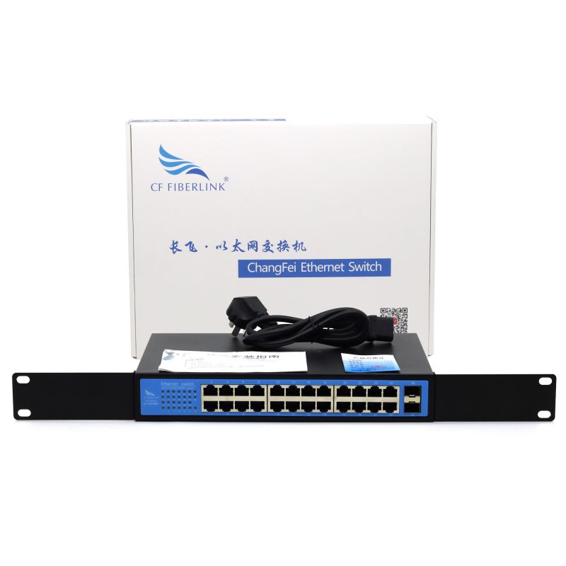 Gigabit 2 optical 24 electricity security switch