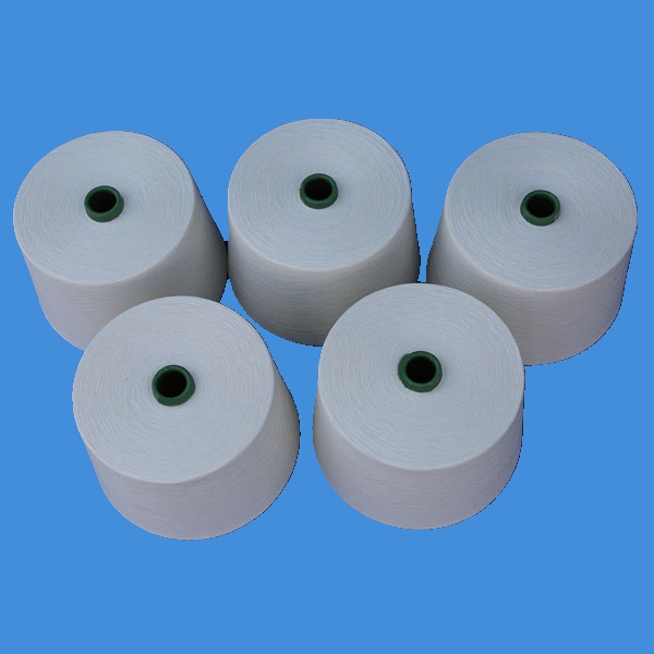 Factory Cheap Hot Polyamide/Cotton -
 Anti-bacterial yarn – Changshanfabric