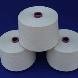 Kwatanta Ne 30/1 100%Maimaita polyester Yarn