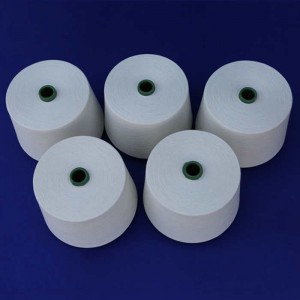 Compat Ne 30/1 100% Recycle polyester Yarn