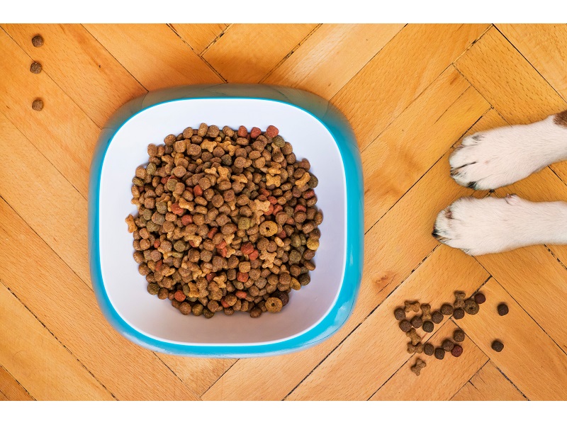 EHA – New Definition of Fresh Food for Pets