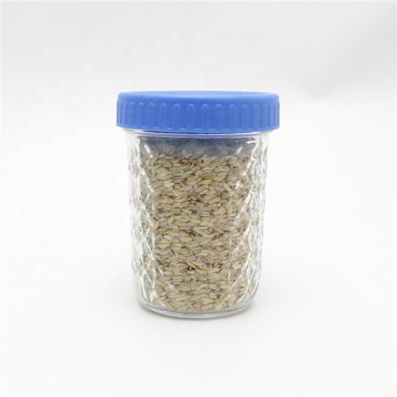lilnlang shanghai hot sale products jars with plastic lids mason