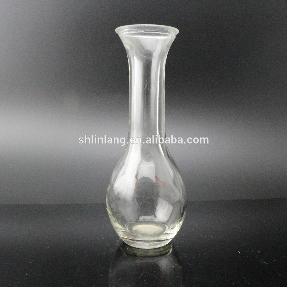 Excellent quality Glass Bottles With Cork Stoppers - glass vase for home decoration – Linlang