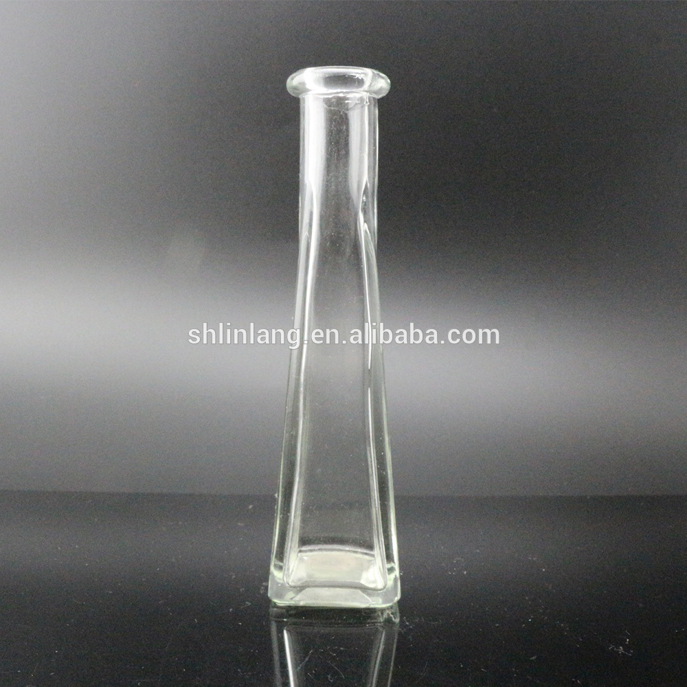 Fashionable glass flower vase cylinder decorative flower glass vase