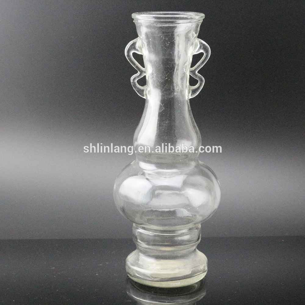 Factory wholesale Glass Drinking Bottle - Wholesale new art glass vase transparent vase for home decoration – Linlang
